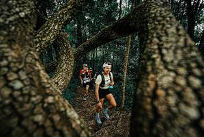 BIB: 
                            <button type="button" onclick="openModal(25674244)" class="btn btn-primary btn-sm float-right btn-popup" data-toggle="modal" data-target=".modal-high-quality">
                        <i class="fas fa-shopping-cart"></i> Add to Cart
                    </button>
                                            <button type="button" onclick="isThisMe(25674244, true)" class="btn btn-success btn-sm float-right btn-popup btn-isme hidden" data-toggle="tooltip" data-placement="bottom" title="นี่คือรูปของคุณใช่ไหม คลิกที่นี่เพื่อเอาเข้าอัลบั้ม">
                        <i class="fas fa-plus"></i> Add to album
                    </button>
                    <button type="button" onclick="isThisMe(25674244, false)" class="btn btn-warning btn-sm float-right btn-popup btn-isnotme hidden">
                        <i class="fas fa-ban"></i> Remove from album
                    </button>